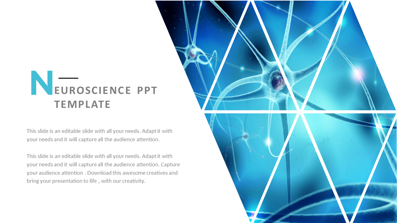 Neuroscience PPT Presentation Template and Google Slides